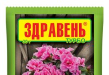 Актара для комнатных цветов 101