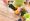 Дни для пересадки комнатных цветов 156