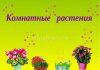 Домашние цветы и названия для занятиях садовников 17