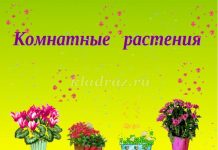 Домашние цветы и названия для занятиях садовников 159
