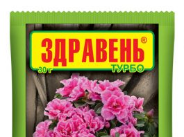 Эпин полив комнатных цветов 75