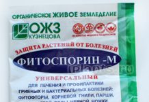 Фитоспорин как применять для комнатных цветов 187