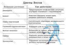 Какой комнатный цветок меняет окраску? 164
