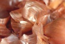 Кальциевая селитра для комнатных цветов 79