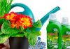 Минеральные удобрения для комнатных цветов 126
