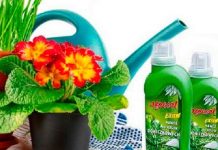 Минеральные удобрения для комнатных цветов 159
