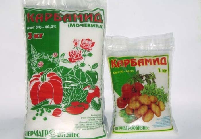 Мочевина для комнатных цветов дозировка 64