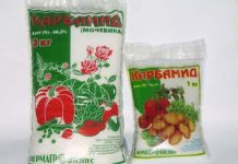 Мочевина для комнатных цветов дозировка 95