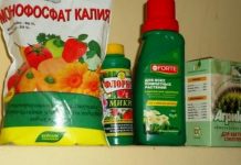 Монофосфат калия для комнатных цветов отзывы 153