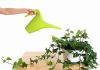 Можно ли фитовермом поливать комнатные цветы? 45
