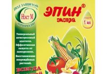 Полив йодом комнатные цветы 84