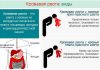 Размножение цветов черенками в домашних условиях 66