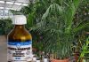 Удобрение комнатных цветов перекисью водорода 105
