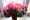 Вьющийся цветущий комнатный цветок 199